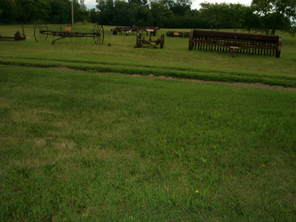 IMGP1272
