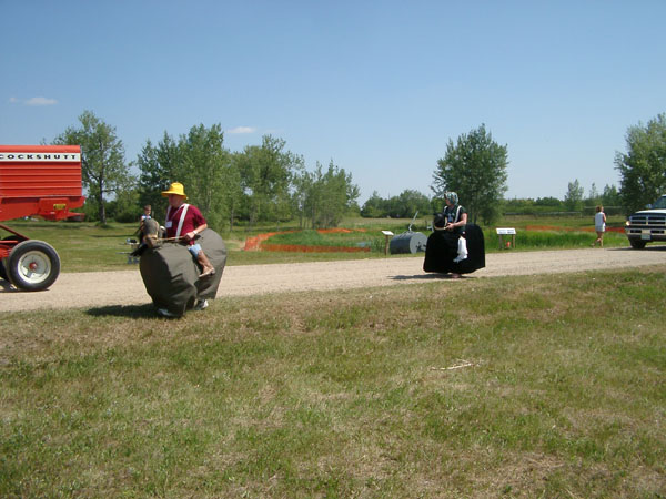 IMGP1342